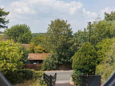 Picture 24